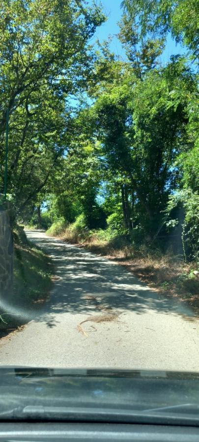 Appartamento Vacanze Malu Moneglia Bagian luar foto
